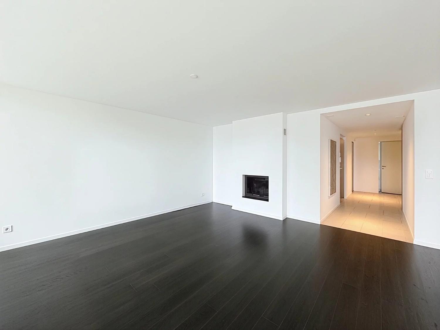 Spacious living room with dark parquet floors and fireplace, Le National, Montreux