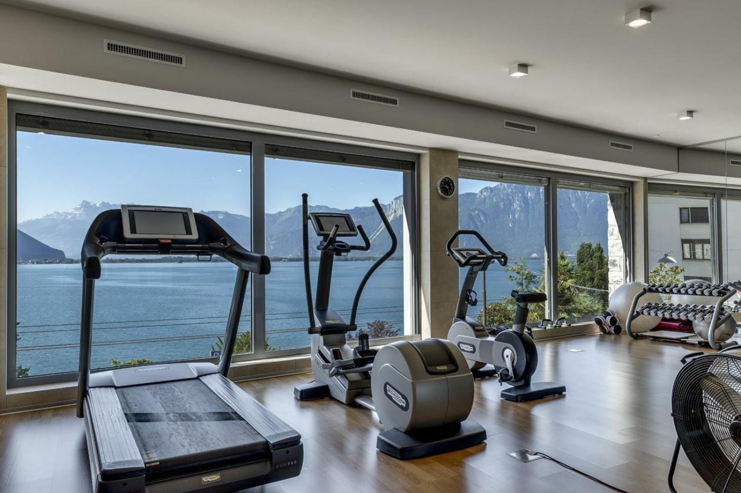 Fitness centre with lake and mountain views, Le National residence, Montreux
