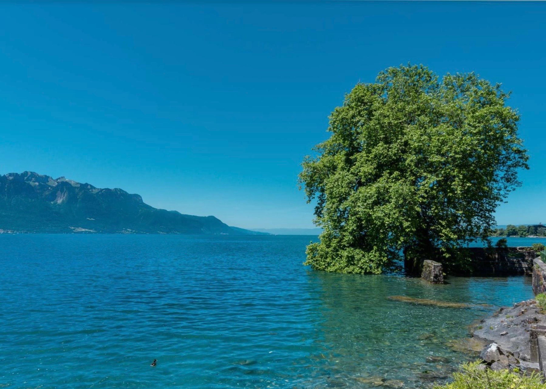 Extraordinary Lakefront Estate — Swiss Riviera